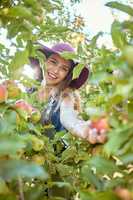 Portrait of one happy woman reaching to pick fresh red apple from trees on sustainable orchard farmland outside on sunny day. Cheerful farmer harvesting juicy organic fruit in season to eat