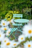 Picnic table and chairs in a lush garden at a peaceful park or tranquil courtyard surrounded by daisy flowers outdoors. Relaxing, calm and soothing environment to enjoy a quiet and pleasant break