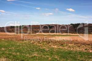 Panorama view of rural landscape in the Kingdom of Denmark against blue sky copyspace and fresh air. Tranquil harmony in nature with bushes and trees growing wild in calm, organic woodland outdoors