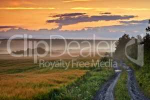 Countryside dirt road leading to agriculture fields or farm pasture in a remote area during sunrise or sunset with fog or mist. Landscape view of quiet scenery and mystical farming meadows in Germany