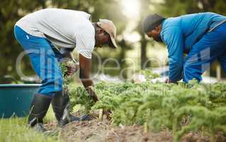 Working the land. Full length shot of two male farm workers tending to the crops.