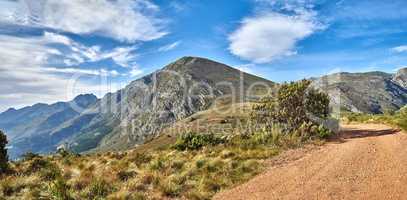 A hiking trail on a mountain with a cloudy blue sky on a summer day. A footpath surrounded by lush plants and grass outdoors on a spring afternoon. A pathway in nature or mountainside with copy space