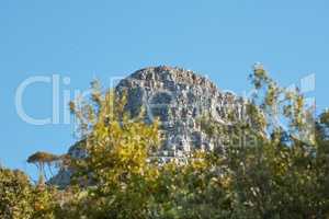 Landscape of Table Mountain in Cape Town against a clear blue sky background with copy space. Beautiful scenic view of plants around an iconic natural landmark on a sunny day outside