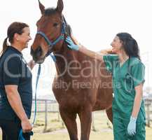 Arent you beautiful. an attractive young veterinarian standing with a horse and its owner on a farm.