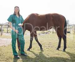 My job here is done. Full length shot of an attractive young veterinarian standing alone after examining a horse on a farm.
