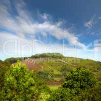 Copyspace and landscape of the mountain slope with green pasture and narrow passages below a cloudy sky. Inclining side view of a hilltop with vegetation. Mountainous hiking destination in nature
