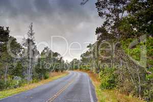 A road through a forest in Hawaii, USA with a cloudy sky background and copyspace. Scenic views of a woodland landscape on a cold winters day. Tall trees growing next to ecological life