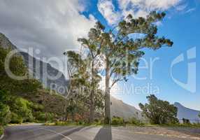 A road leading to Table mountain in Cape Town, South Africa against blue sky copy space on a sunny morning. A highway along a peaceful mountain landscape with scenic views of lush green bushes