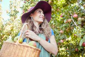 Cheerful farmer harvesting juicy nutritious organic fruit in season to eat. A happy woman from below holding basket of freshly picked apples from tree on sustainable orchard farm outside on sunny day