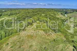 Springtime. Aerial view of a field at the top of a hill in the countryside, surrounded by green forestry and trees on a sunny spring or summer day. Scenery of nature with the blue sky on the horizon.