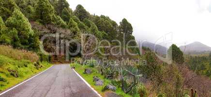 Copy space with a scenic mountain pass along a cliff in La Palma, Canary Islands, Spain on a cloudy and foggy cold morning. Peaceful, quiet and lush landscape to travel explore during a road trip