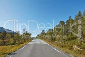 An empty road surrounded by trees with clear blue sky and copy space. Landscape with a straight countryside asphalt roadway for traveling along a beautiful scenic forest in Norway
