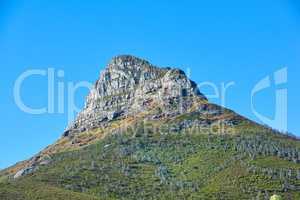 Lions Head mountain with a blue sky and copy space. Beautiful below view of a rocky mountain peak covered in lots of lush green vegetation at a popular tourism destination in Cape Town, South Africa