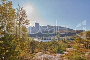 Scenic view of mountain landscape view with forest trees and blue sky copy space in Norway. Beautiful scenery of nature with vibrant lush trees around an iconic natural landmark on a summer day