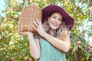 Portrait of apple farmer harvesting fresh fruit on farm. Happy young woman using a basket to pick and harvest ripe apples on her sustainable orchard. Surrounded by green plants, growth or agriculture