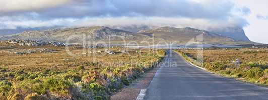 The wilderness of Cape Point National Park. The wilderness of Cape Point National Park, Western Cape, South Africa.