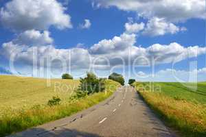 Beautiful landscape of a countryside tar road with a cloudy blue sky and copy space. Roadway outdoors in nature on a summer afternoon or day near lush green grass with copyspace