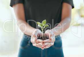 Growth takes work. an unrecognisable woman standing alone and holding a seedling.