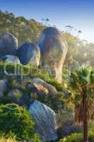 Lush rocky hillside with huge boulders near a tropical forest in South Africa. Stunning nature landscape of greenery and mountainous hiking location. Scenic remote travel destination on a sunny day