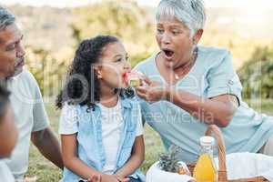 Our most basic instinct is family. a senior woman feeding her grand daughter some watermelon at a picnic.