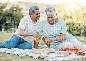 Everyone needs a house to live in. a senior couple enjoying a picnic outside.