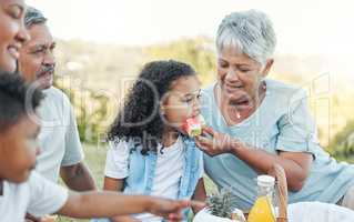 Quality over quantity. a senior woman feeding her grand daughter some watermelon at a picnic.