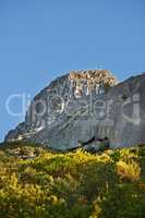 Copyspace with scenic landscape view of Lions Head mountain in Cape Town, South Africa against a clear blue sky background from below. Magnificent panoramic of an iconic and famous travel destination