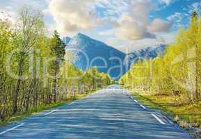 Idyllic empty road surrounded by trees and forest in summer. Deserted and scenic street or highway with beautiful scenery on vacation. Peaceful mysterious road path for travelling on the countryside