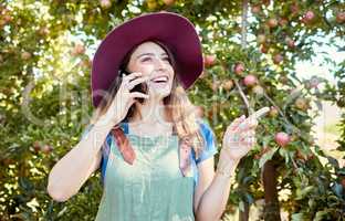 Cheerful farmer speaking on phone while planning tasks for harvest season of fresh organic fruit. One happy woman talking on cellphone while working on sustainable apple orchard farm on sunny day.