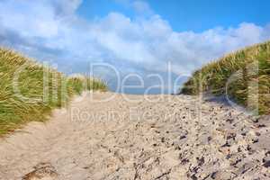 Closeup of a sand path with lush green grass growing on the west coast beach of Jutland, Denmark. Beautiful blue skies on a warm summer day over a dry sand dune situated on a coastline bay area