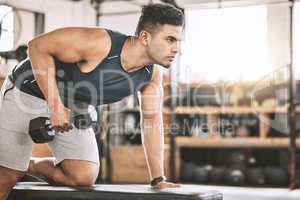 Serious bodybuilder lifting weights. Young athlete building strong muscles with dumbells. Focused healthy fit man doing arm curls. Muscular fitness trainer working out using an exercise bench