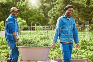 Its the gift that keeps on giving. two male farm workers tending to the crops.