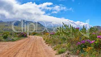 Countryside dirt road leading to scenic mountains with Perezs sea lavender flowers, lush green plants and bushes growing along the path. Landscape view of quiet scenery in a beautiful nature reserve