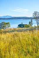 Scenic view of uncultivated grass and lake house in a remote countryside. Wild flora and trees around a small wooden cabin and bay of water in Norway. Landscape of a river, ocean or sea with blue sky