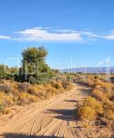 Dirt road through highland savanna. Off road dirt track path in Highland safari, on dry rough terrain in summertime. A empty African landscape of barren highland with dry green bushes with copy space