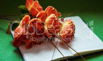 Above shot of orange flowers on an open notepad. Nature can inspire us to write and spark our creativity. Get productive and motivated in a creative environment. Write down dreams, plans and goals
