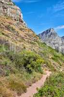 Scenic hiking trail along Table Mountain in Cape Town, South Africa with vibrant flowers and lush plants. Magnificent panoramic of a beautiful and rugged natural landscape to explore and travel