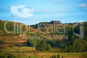 Hills with green grass, trees and plants on a cloudy summer day. Beautiful landscape and scenery of nature. Outdoors in an adventurous location to hike and explore. Mountain range with a scenic view