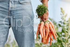 These crunchy veggies are rich in beta-carotene. Closeup shot of an unrecognisable man holding a bunch of carrots on a farm.
