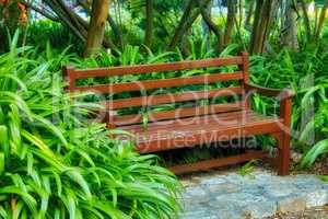 Wooden bench in a garden or park. Beautiful and serene environment to enjoy a peaceful and calm break on a sunny day with plants blooming in nature. Outdoor seating furniture in a relaxing setting