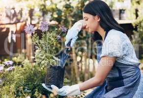 Therefore, if you dont like the plants, change the seeds. Shot of a young female florist working at a nursery.