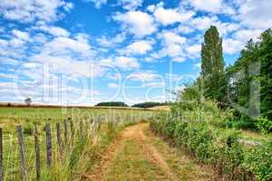 A countryside dirt road leading to agriculture fields or farm pasture in remote area location with blue sky and copy space. Landscape view of quiet, lush, green scenery of farming meadows in Germany