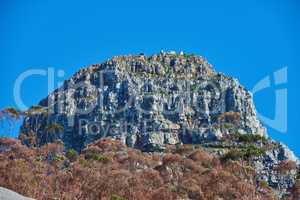 A big mountain with brown and green trees against a background of clear blue sky and copyspace. Huge rocky terrain perfect for hiking, rock climbing or scenic views of Cape Town rugged outdoors