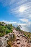 Lions Head Mountain trail with a relaxing beautiful ocean view. Lush green trees and bushes growing in harmony with nature. Popular attraction for tourists who enjoy outdoor adventure