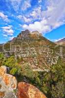 Rocky mountain with trees and grass on a beautiful sunny summer day. Serene, calm slope with no people in peaceful natural environment. Summit is located in the Western Cape of South Africa