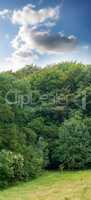 Copspace and scenic landscape of a peaceful green field with cloudy blue sky background. Calm and tranquil scenery of a forest with lush trees and plants in spring. Breathtaking views in nature