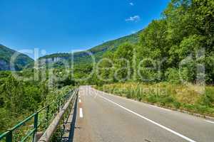 Countryside road between trees on a blue sky background and copy space. Nature landscape of an empty roadway winding through a forest with wild tree growth in an eco environment on a sunny summer day