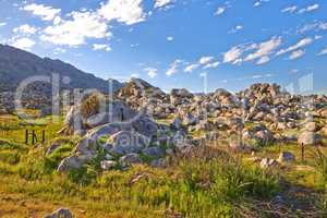 Rocks and boulders in an uncultivated, rough hiking terrain on Table Mountain, Cape Town, South Africa. Lush green bushes and shrubs growing among flora and plants in a quiet, overseas nature reserve