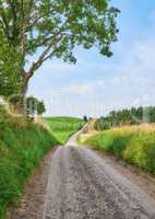 Vibrant green grass and trees growing in the countryside in summertime. A dirt road leading to the soothing, quiet rural landscape. bright sunny day in farming fields, lush green organic growth