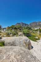 Landscape view of rocky coast beach of Camps Bay towards Table Mountain. Life in the outdoors of Cape Town. Path to beautiful rocks, sand and lush green trees with a clear blue sky.